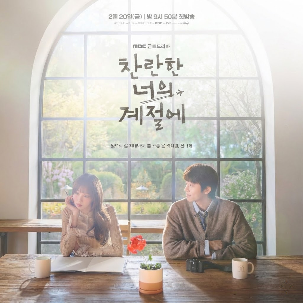 在你的灿烂季节