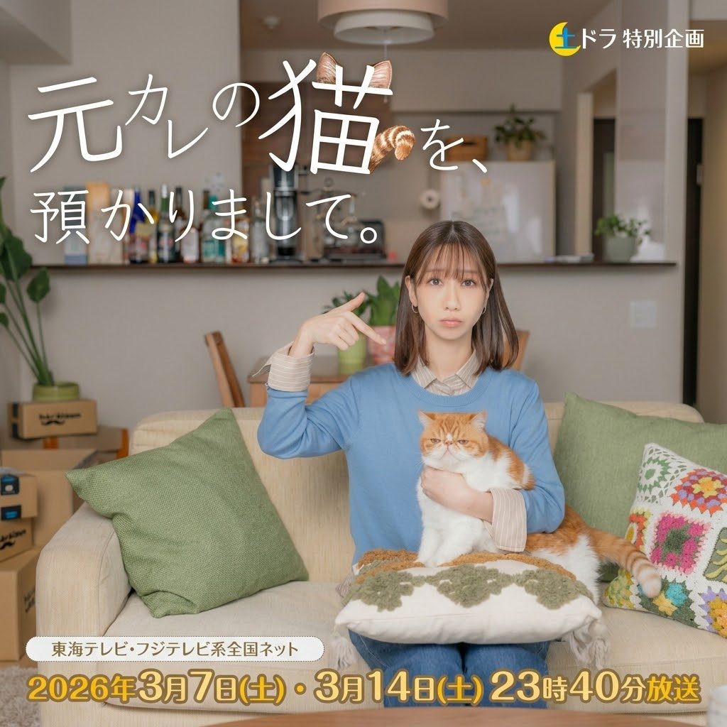 我收留了前男友的猫